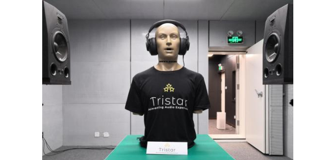 The KEMAR head and torso simulator